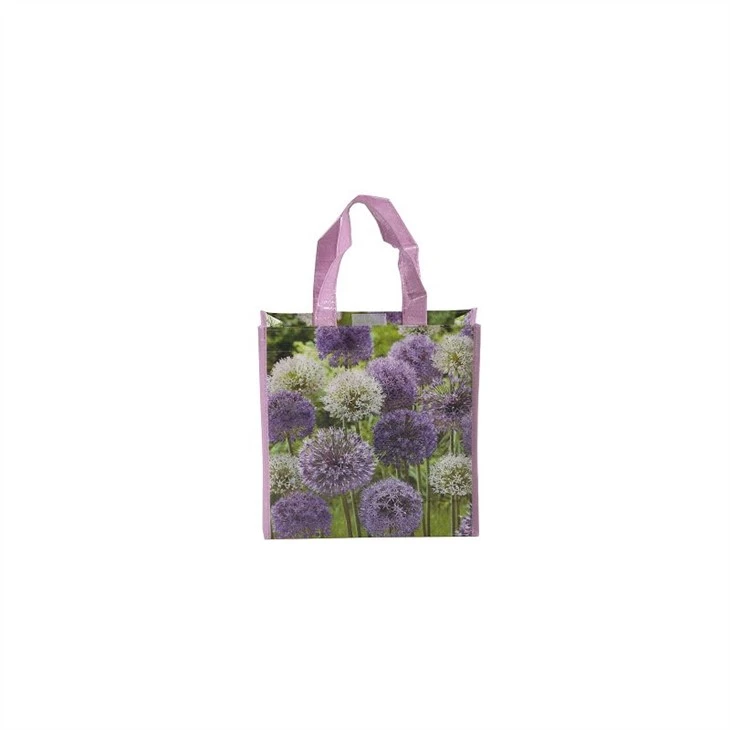 large-woven-polypropylene-bags23418589238